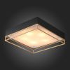 Люстра потолочная ST Luce CHODO (ЦХОДО) SL1127.422.05