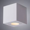Светильник накладной Arte Lamp Galopin (Галопин) A1461PL-1WH
