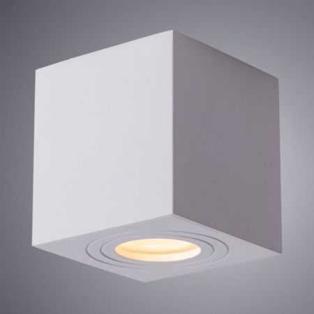 Светильник накладной Arte Lamp Galopin (Галопин) A1461PL-1WH