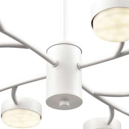 Люстра на штанге Lumion Comfi (Цомфи) 8265/12
