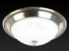 Светильник накладной Toplight Molly (Моллы) TL5020Y-02AB