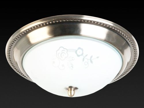 Светильник накладной Toplight Molly (Моллы) TL5020Y-02AB - фото 2