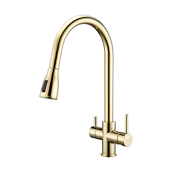 Смеситель для кухни Paulmark LANGE La214212-SBG на раковину золото без термостата