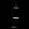 Торшер ST Luce Amiro (Амиро) SL1802.405.01