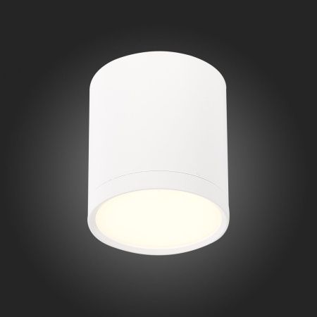 Светильник потолочный ST Luce Rene (Рене) ST113.532.05