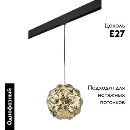 Трековый однофазный светильник Lightstar Fermo (Фермо) PRO724312
