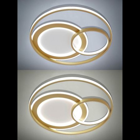 Люстра потолочная Natali Kovaltseva LED LAMPS (ЛЕД ЛАМПС) LED LAMPS 81312