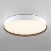 Светильник потолочный музыкальный Citilux Bonny (Бонны) CL754450G