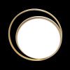 Люстра потолочная Natali Kovaltseva LED LAMPS (ЛЕД ЛАМПС) LED LAMPS 81315