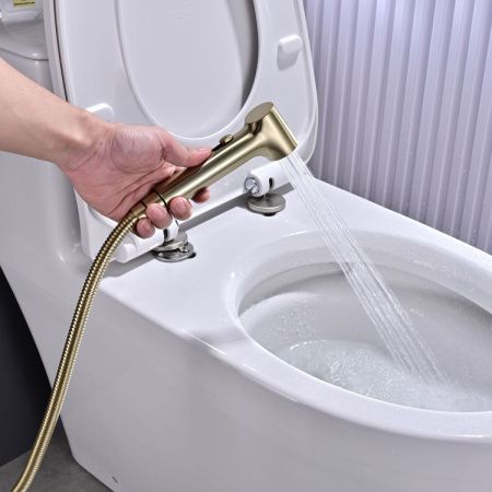 Гигиенический душ со смесителем Rose R235G золото