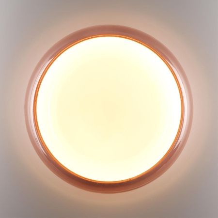 Настенно-потолочный светильник Sonex Color (Цолор) 7778/DLN