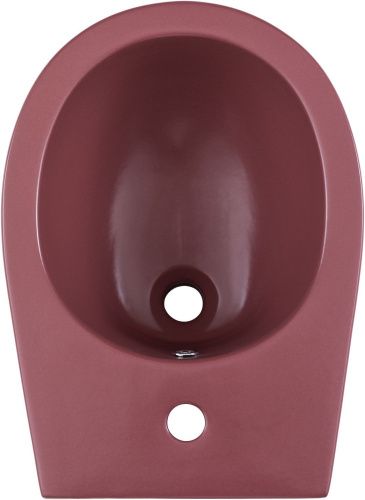 Биде Allen Brau Fantasy 4.11006.BD подвесное - фото 4