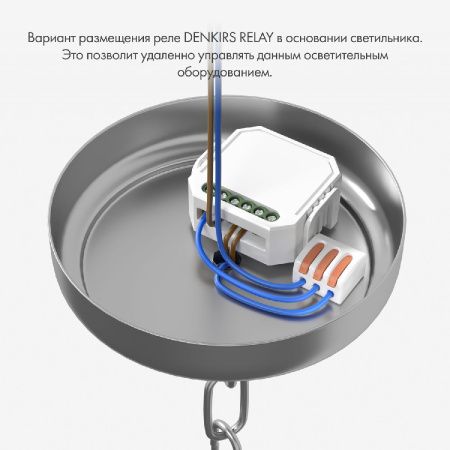 Двухканальное Wi-Fi реле-диммер Denkirs Relay (Релаы) RL1004-DM/1