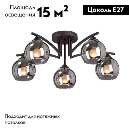 Люстра потолочная Vitaluce V4285 V4285-1/5PL