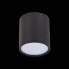 Светильник потолочный ST Luce Rene (Рене) ST113.432.05