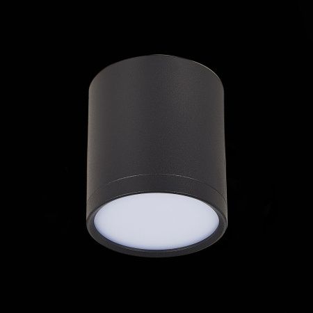 Светильник потолочный ST Luce Rene (Рене) ST113.432.05