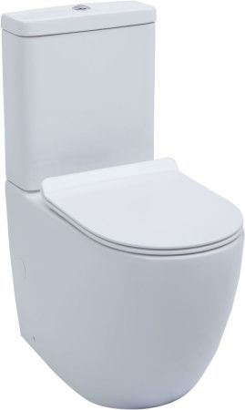 Чаша унитаза напольная Aquanet Cetus CETUS-C1 цвет белый без бачка с сиденьем микролифт безободковая каскадный смыв