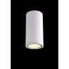 Уличный потолочный светильник Crystal Lux CLT 138 CLT 138C180 WH