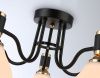Люстра потолочная Ambrella Light Modern (Модерн) TR303307