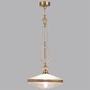 Светильник подвесной Odeon Light Pendant (Пендант) 5441/1