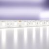 Светодиодная лента Maytoni Led Strip 10173