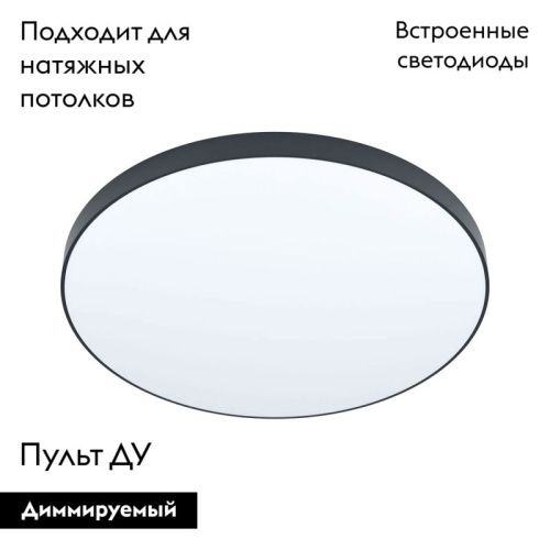 Настенно-потолочный светильник Eglo Zubieta-a (Зубиета-а) 98896 - фото 2