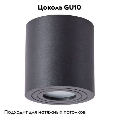 Светильник накладной Arte Lamp Galopin (Галопин) A1460PL-1BK