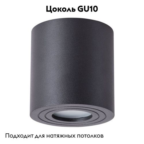 Светильник накладной Arte Lamp Galopin (Галопин) A1460PL-1BK - фото 2