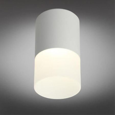 Настенно-потолочный светильник Omnilux Ercolano (Ерцолано) OML-100009-05
