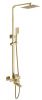 Душевая стойка Fmark FS8145C настенная цвет золото матовое