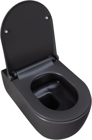 Чаша унитаза подвесная Allen Brau Priority 4.31001.AN цвет черный без сиденья безободковая каскадный смыв