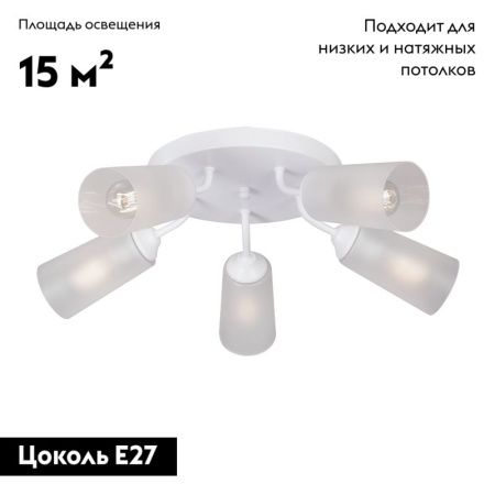 Люстра потолочная Vitaluce V3762 V3762-0/5PL