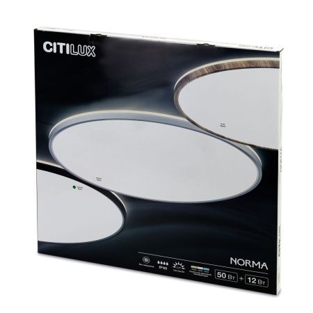 Светильник потолочный Citilux Norma (Норма) CL748600