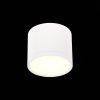 Светильник потолочный ST Luce Rene (Рене) ST113.532.09