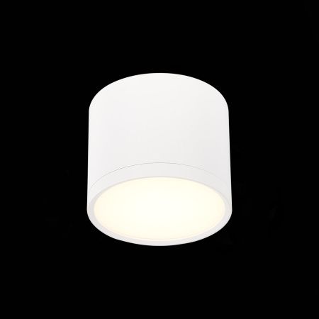 Светильник потолочный ST Luce Rene (Рене) ST113.532.09
