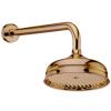 Верхний душ Webert Armony AC0015065 20х20 бронза