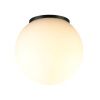 Уличный потолочный светильник Odeon Light Viva (Вива) 7124/1C
