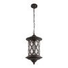 Уличный подвесной светильник Loft It Bergamo 100018P