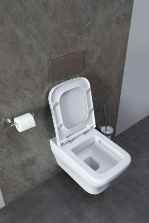 Чаша унитаза подвесная Allen Brau Infinity 4.21011.20 цвет белый без сиденья безободковая каскадный смыв