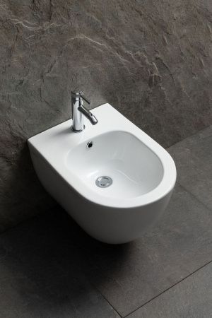 Биде подвесное Allen Brau Priority 4.31012.20 цвет белый