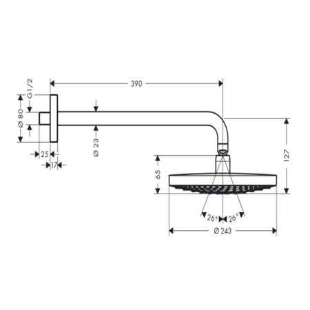 Верхний душ Hansgrohe Raindance Select 26466400 25х25 хром/белый