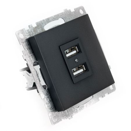 Розетка USB 2-местная Stekker Катрин 39616