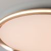 Светильник потолочный LED4U L3020-500 GD
