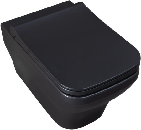Чаша унитаза подвесная Allen Brau Infinity 4.21011.31 цвет черный матовый без сиденья безободковая каскадный смыв