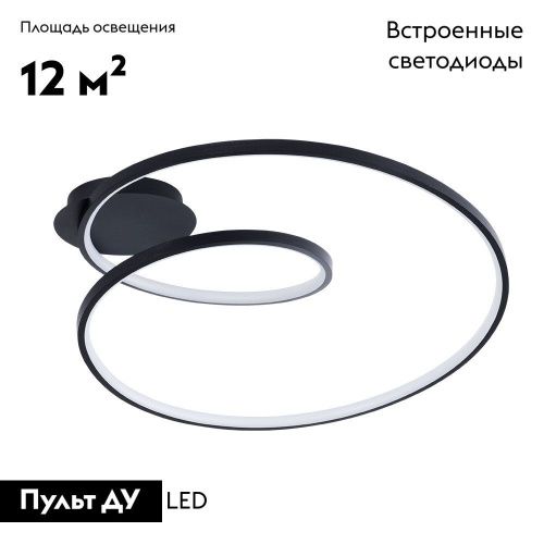Люстра потолочная Arte Lamp Millo (Милло) A3893PL-30BK - фото 2