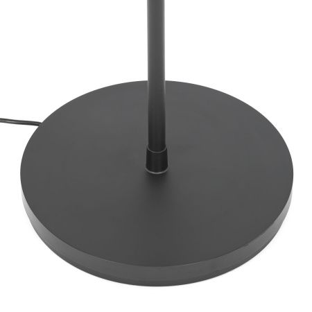 Торшер Citilux Loong (Лоонг) CL810031