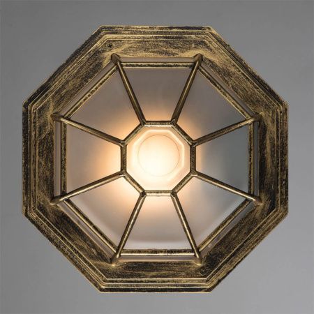 Уличный потолочный светильник Arte Lamp Pegasus (Пегасус) A3121PF-1BN