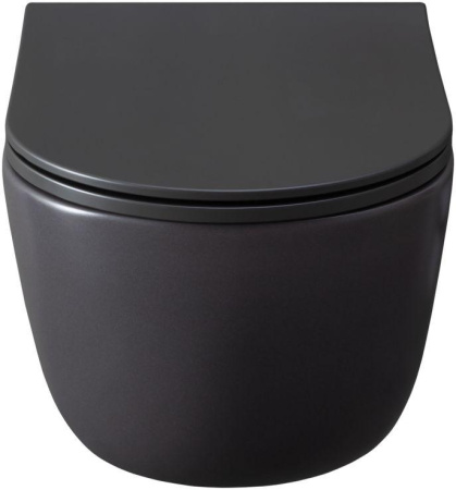 Чаша унитаза подвесная Allen Brau Priority 4.31002.AN цвет черный без сиденья безободковая каскадный смыв