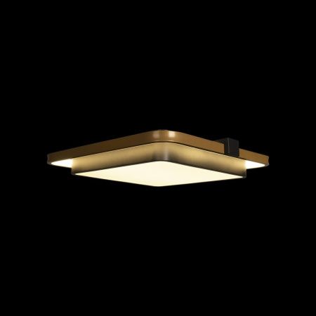 Светильник потолочный Loft It Mike 10171