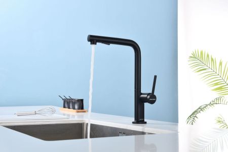 Смеситель для кухни Paulmark NEO Ne214419-AN на мойку черный